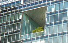 豊洲キュービックガーデン